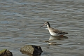 05 03 15_2348_edited-1